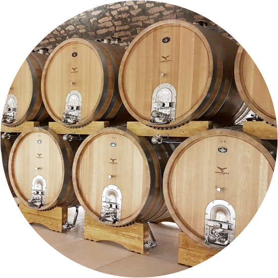 Veneta Botti | chi siamo 03